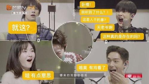 明星爆料吃瓜音频下载,吃瓜音频大揭秘，独家下载尽在其中